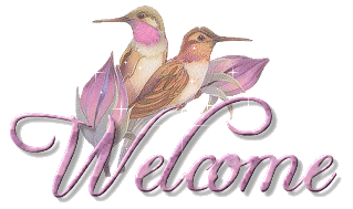 Welcome Birds
